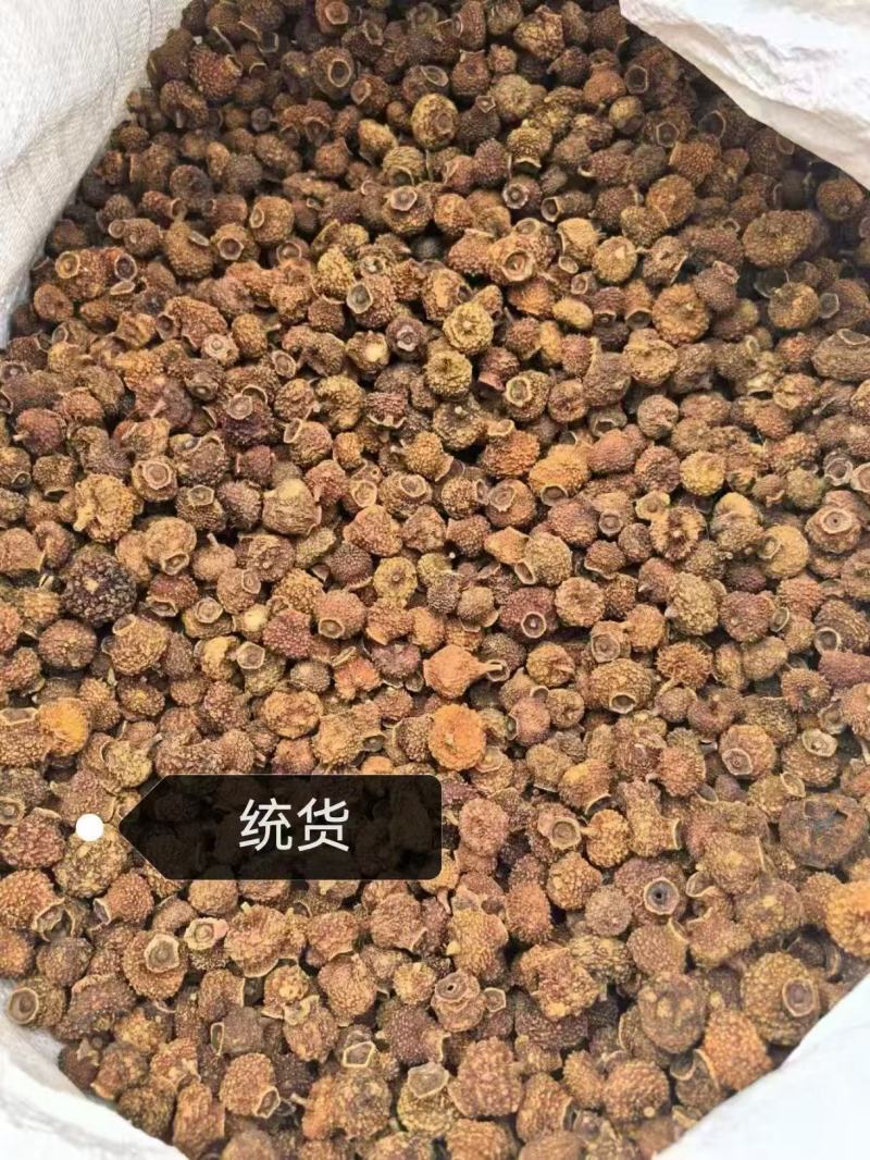 急出刺梨统货价格便宜底于市场价出