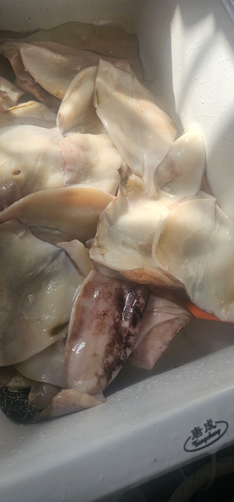 真鱿片基地直发量大从优价格实惠