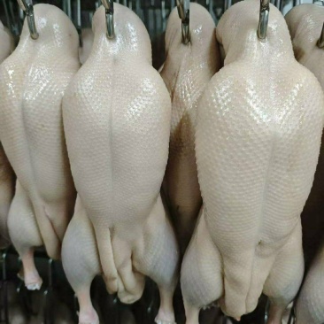 调理鸭丕，自然解冻直接开烤，省时省力，不需要腌制