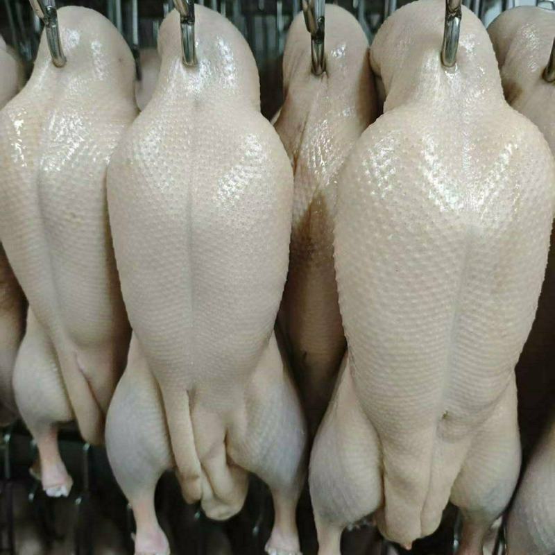 调理鸭丕，自然解冻直接开烤，省时省力，不需要腌制