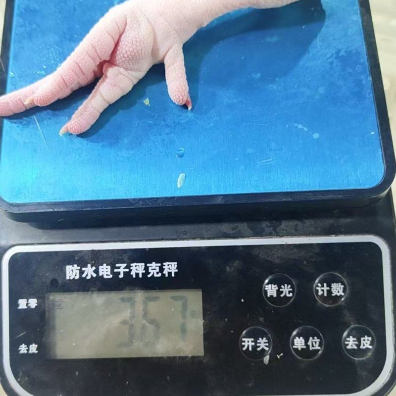 鸡爪