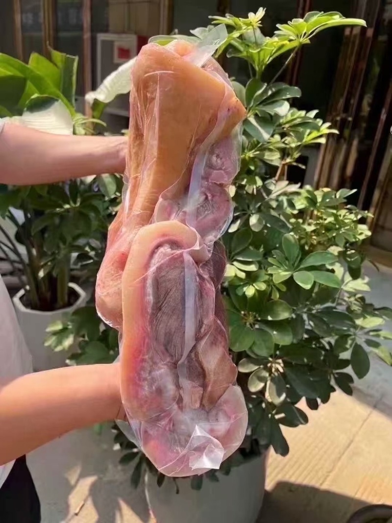 熟牛嘴