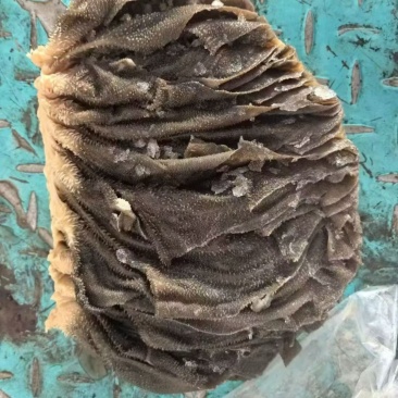 鲜百叶