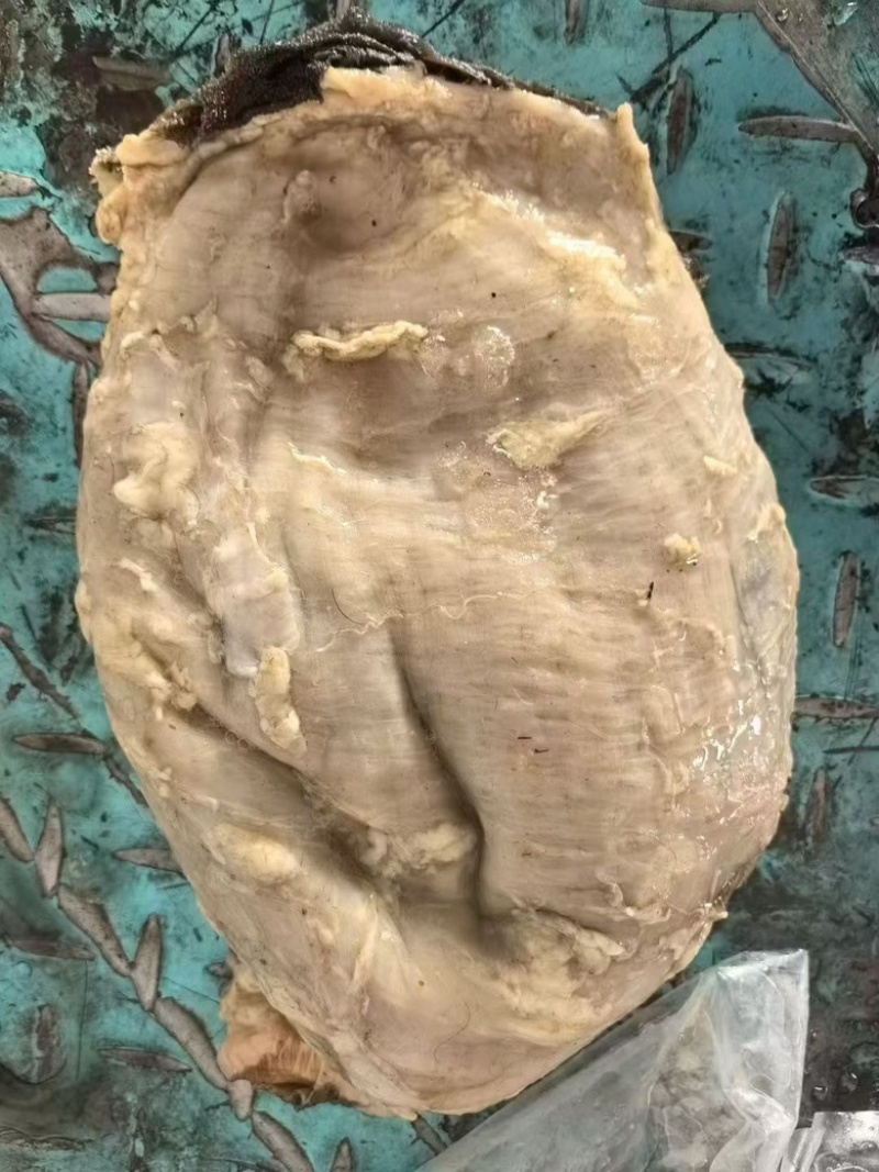 鲜百叶