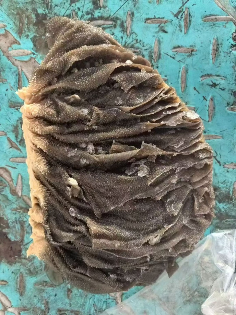鲜百叶