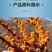 纯沙棘粉新疆正宗纯粉天然植物超细粉