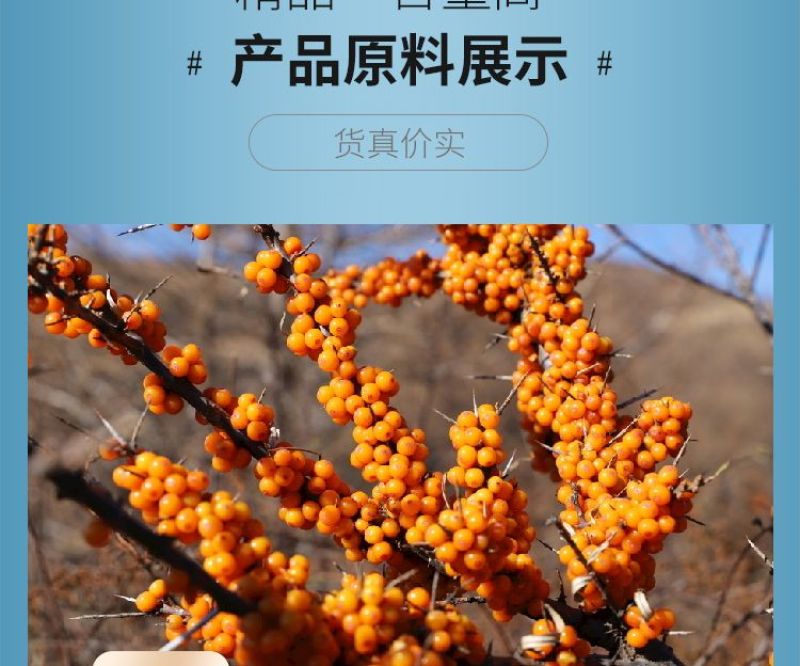 纯沙棘粉新疆正宗纯粉天然植物超细粉