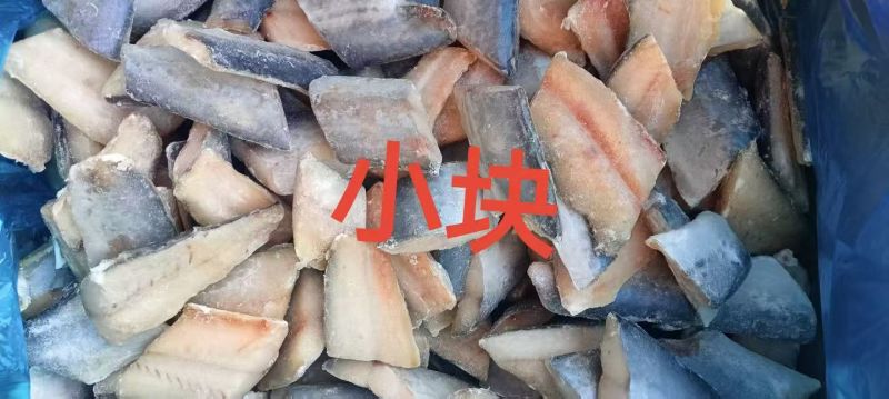 鲅鱼切块几块钱一斤
