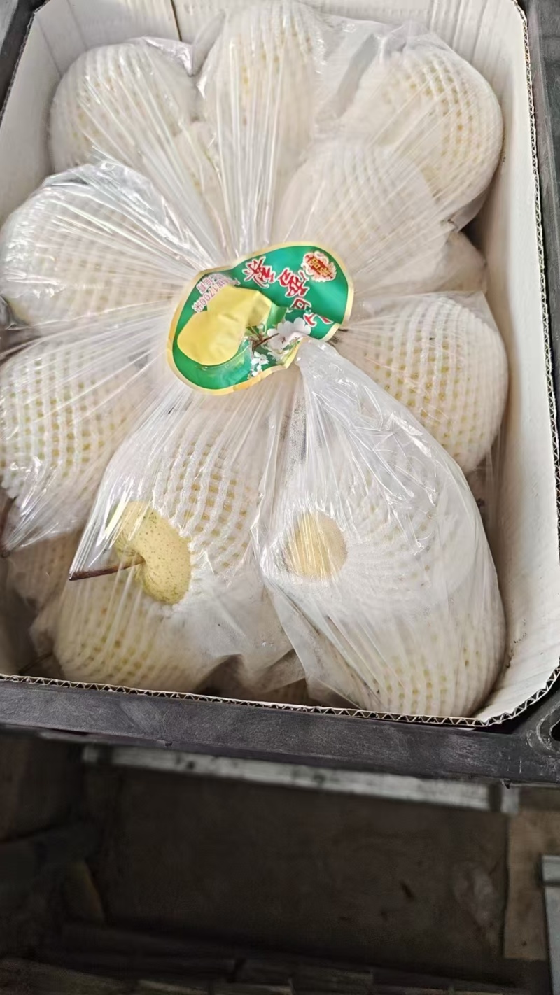 框装的雪梨