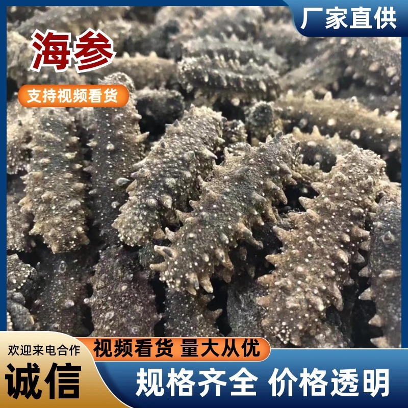 辽宁海参品质保证诚信经营欢迎联系接商超市场电商