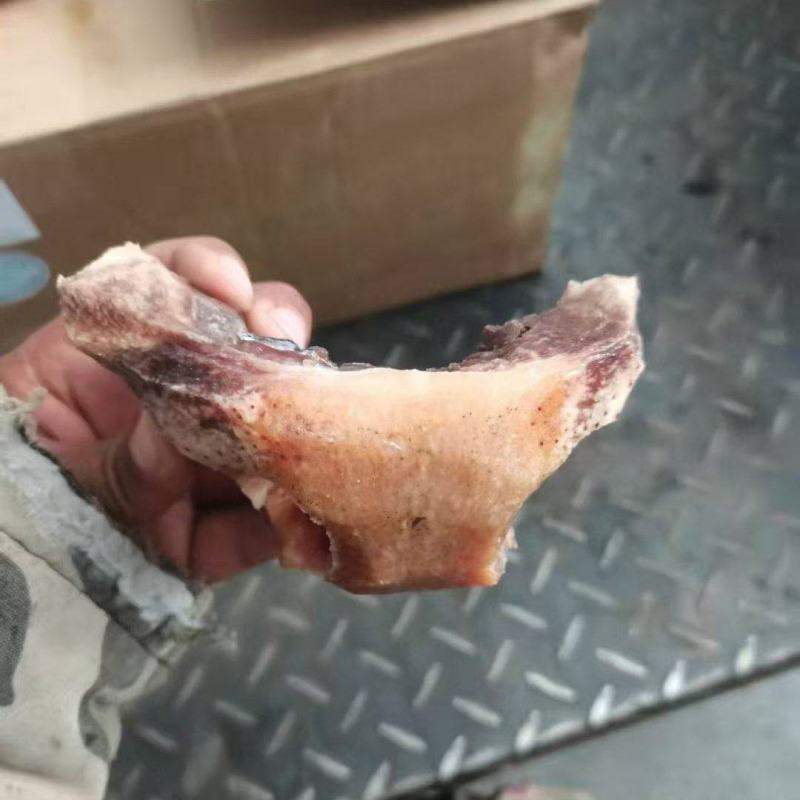 熟牛鼻子