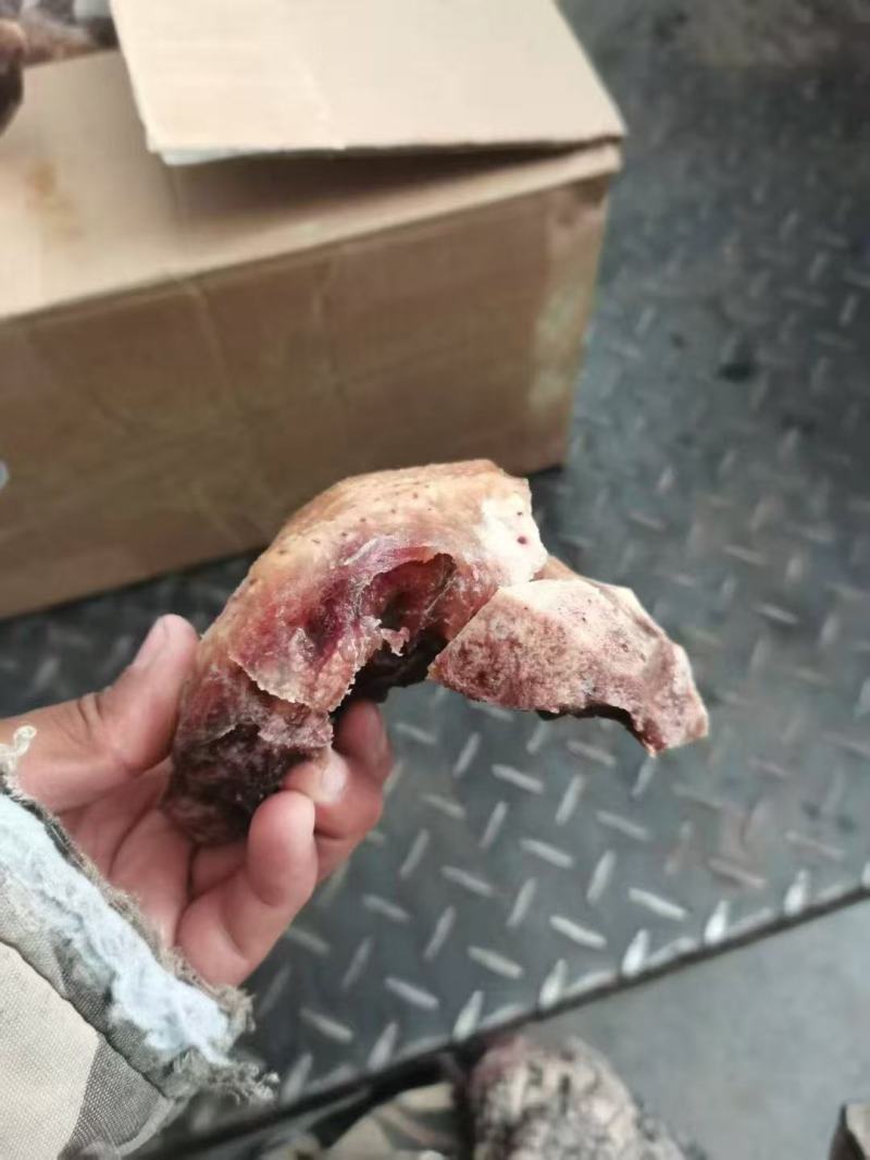 熟牛鼻子