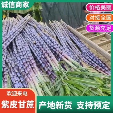 贵州紫皮甘蔗：承接一件代发、整车代发、美团、多多买菜等。