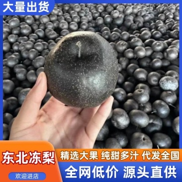 东北冻梨/冻梨/苹果梨/大量有货/产地直发/物美价廉/