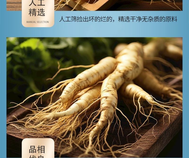 长白山人参粉正品生晒参粉白参粉泡水冲饮煲汤整只人参研磨