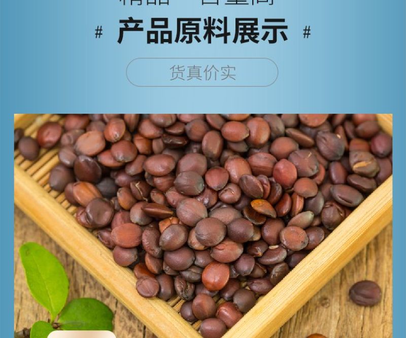 纯酸枣仁粉正宗赞皇酸枣仁精细粉中药材批发