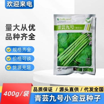 青芸九号小金豆种籽春秋播种架豆种籽高产抗病无筋直杆鲜嫩