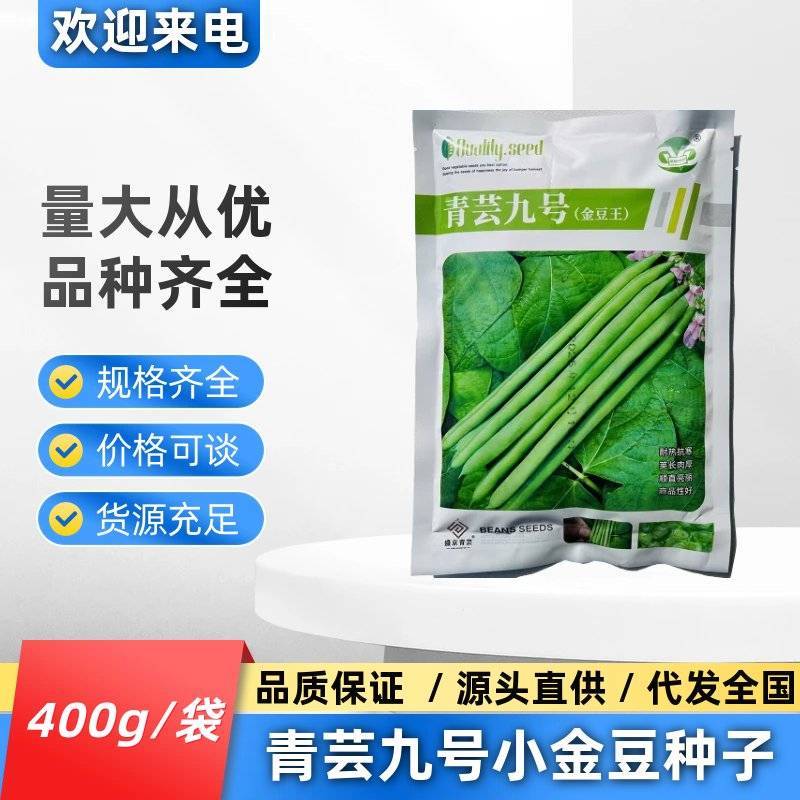 青芸九号小金豆种籽春秋播种架豆种籽高产抗病无筋直杆鲜嫩