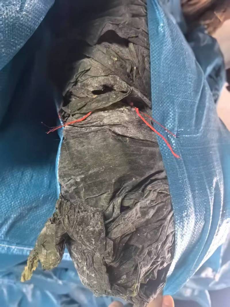 霞浦干海带产地一手货源全国发货量大价优欢迎随时联系
