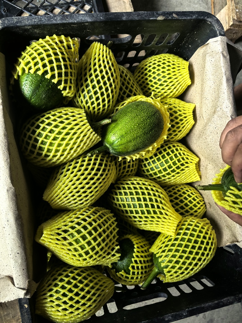 苹果丝瓜