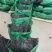 精品干海带产地一手货源全国发货量大价优欢迎随时联系