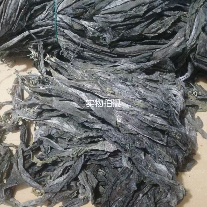 精品干海带产地一手货源全国发货量大价优欢迎随时联系