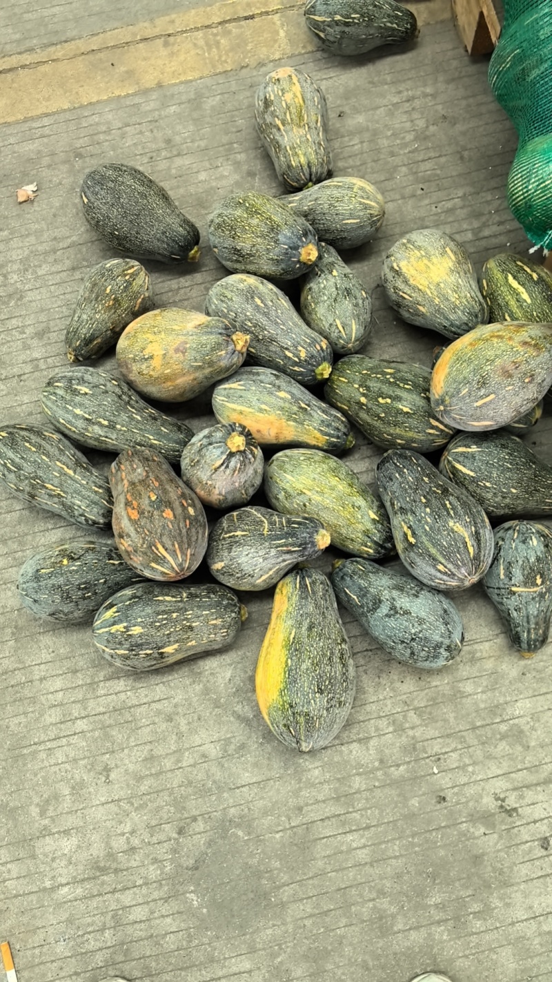 香芋南瓜