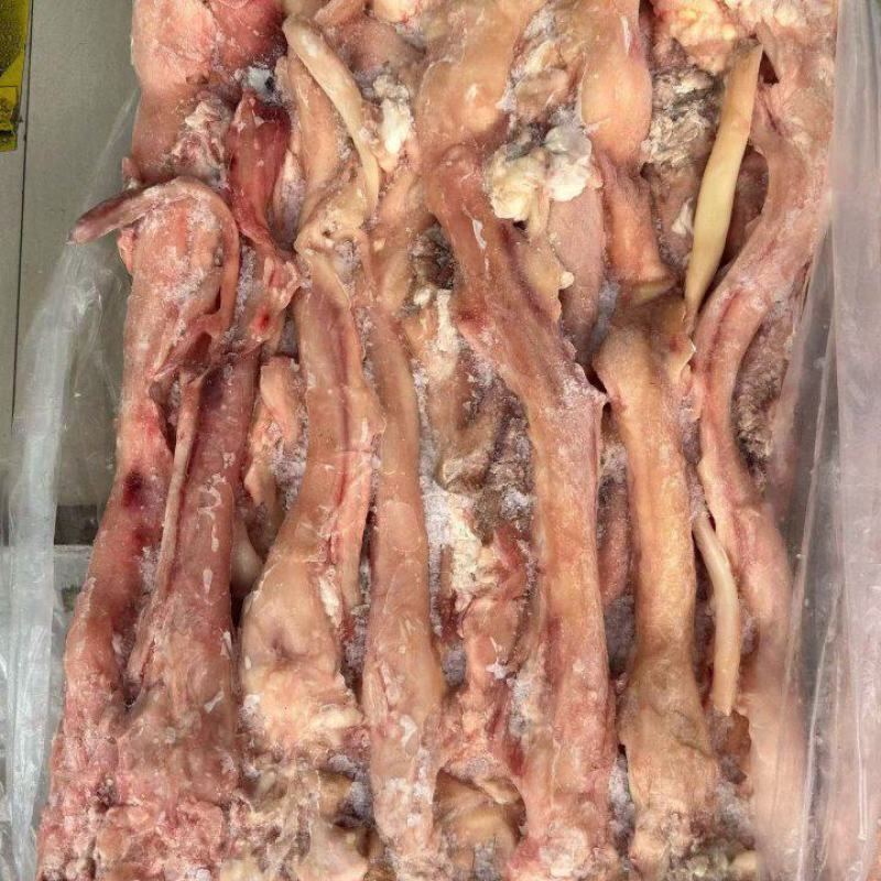 牛主筋