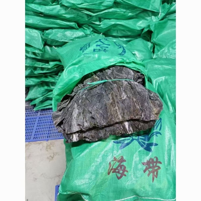 精品干海带产地一手货源全国发货量大价优欢迎随时联系