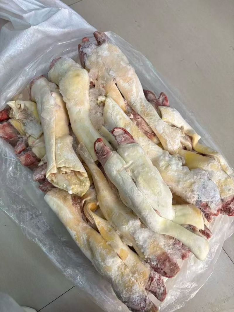 半去骨牛蹄