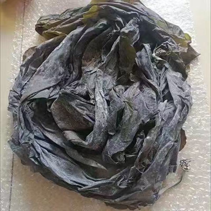 精品干海带产地一手货源全国发货量大价优欢迎随时联系