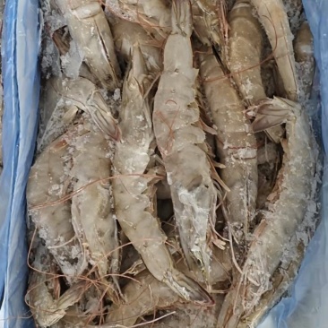 青虾厂家直销，一手货源