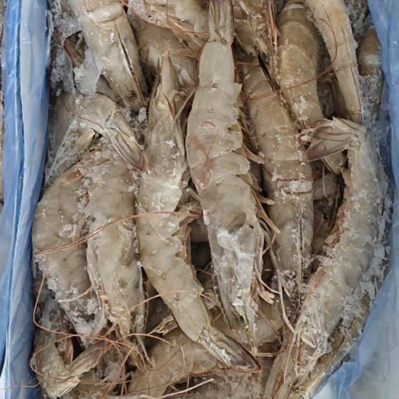 青虾厂家直销，一手货源