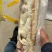 全去骨牛蹄不带主筋