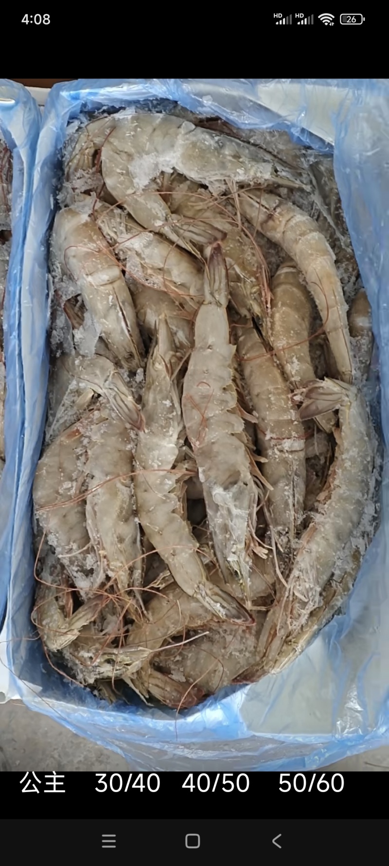 青虾厂家直销，一手货源