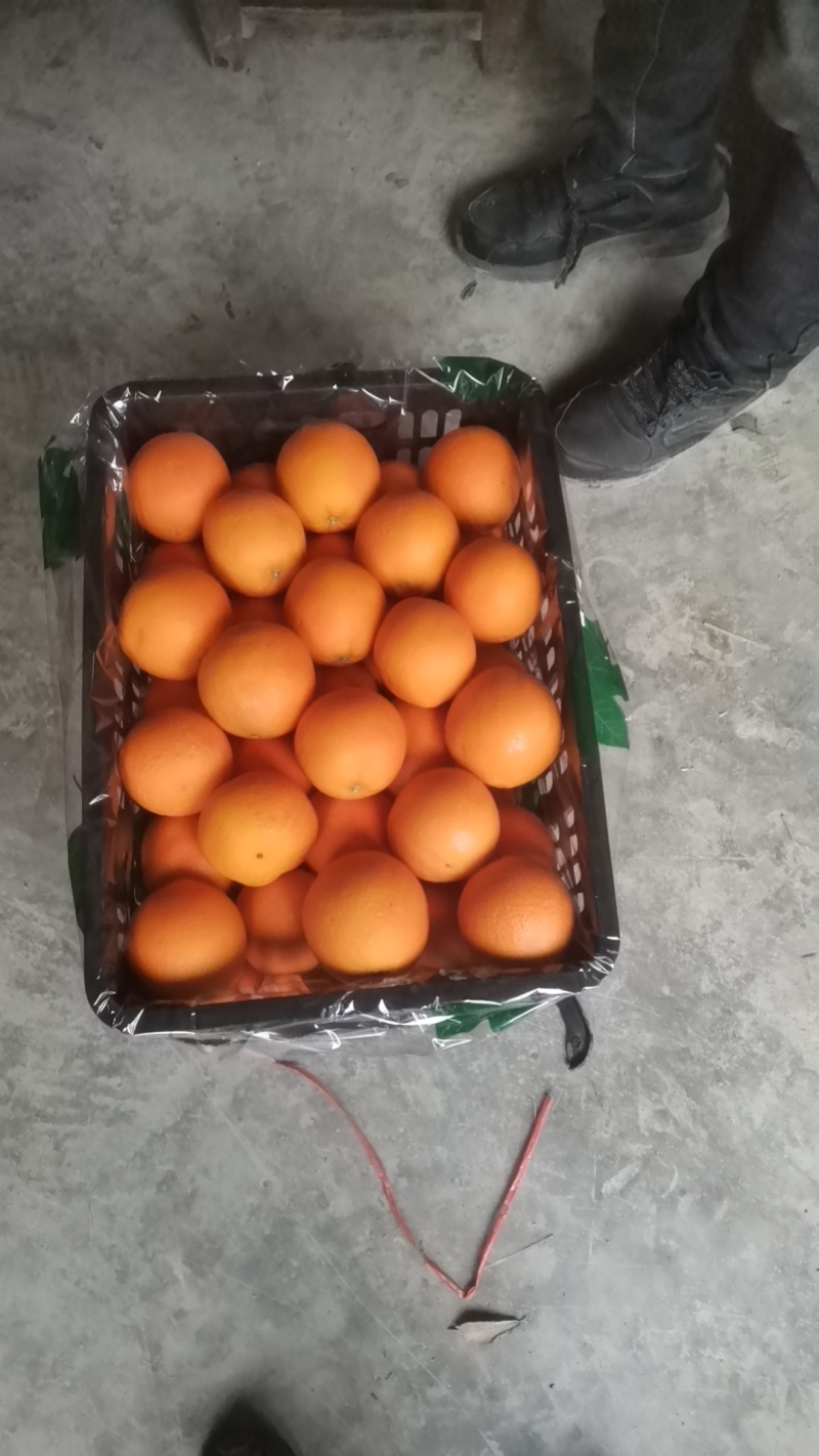 纽荷尔大量有货