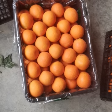 纽荷尔大量有货