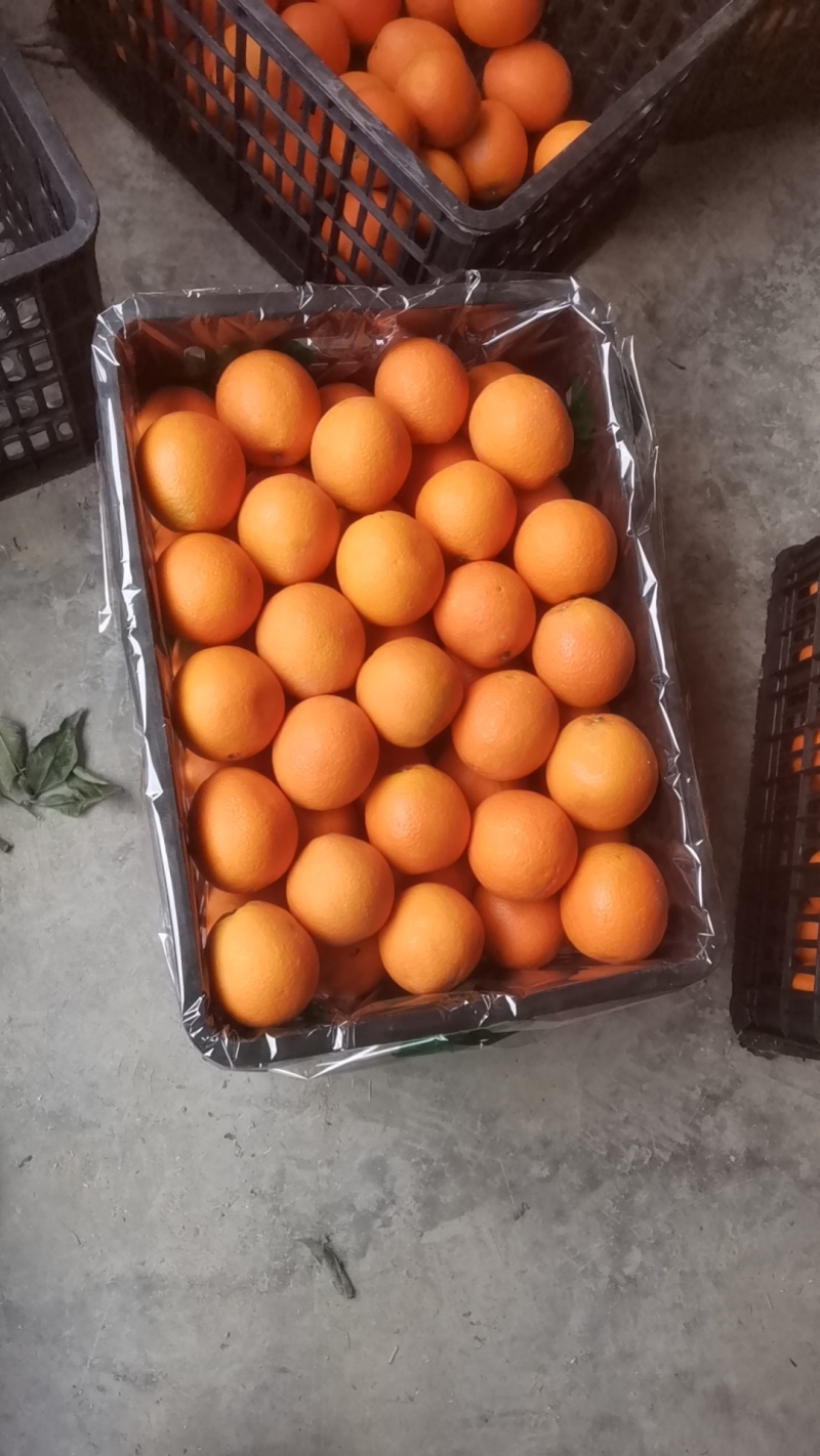 纽荷尔大量有货