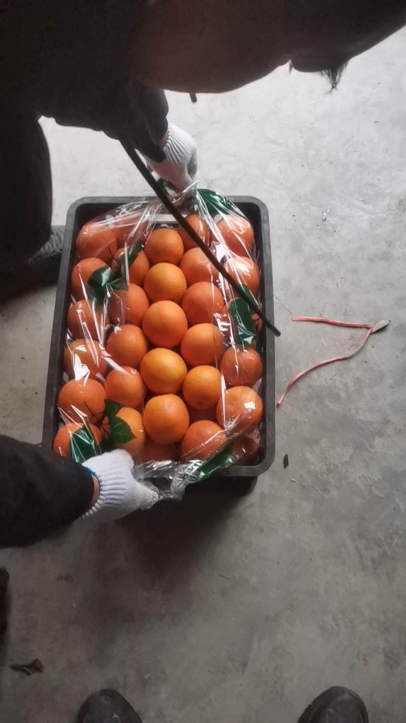 纽荷尔大量有货