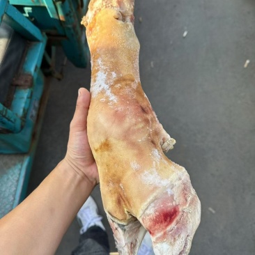 火烧牛蹄