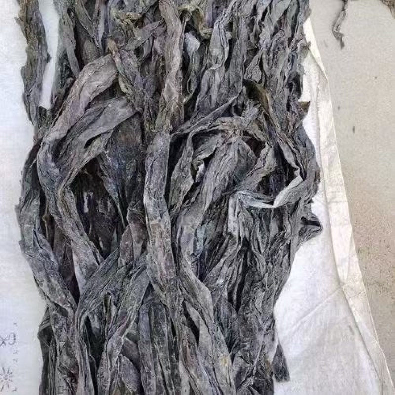 无沙干海带，产地直发，欢迎老板视频看货，