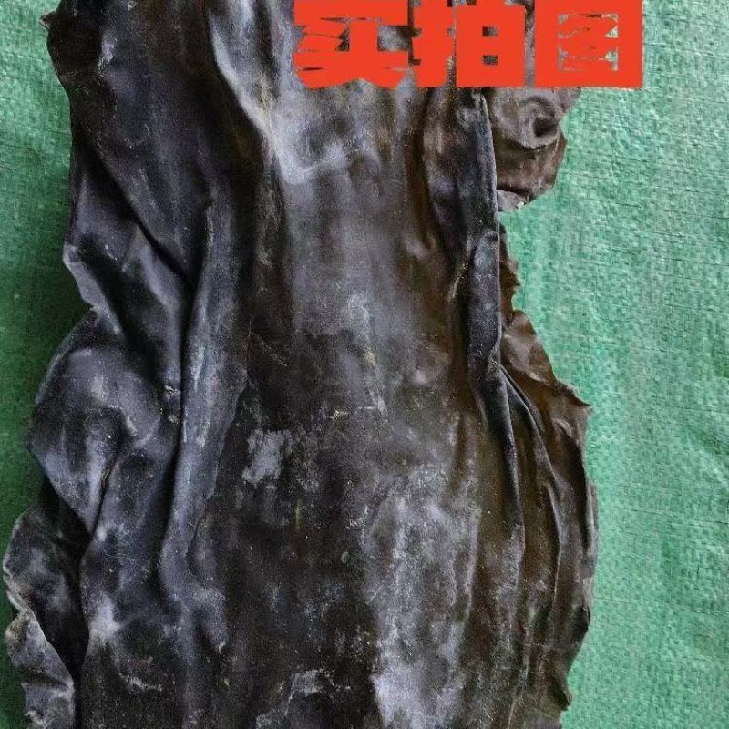 无沙干海带，产地直发，欢迎老板视频看货，