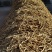 【推荐】宁夏银柴胡/一手货源/视频看货/诚信经营/电询
