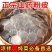 山药粉皮铁棍山药小圆粉皮无胶干货火锅凉拌炖菜