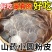 山药粉皮铁棍山药小圆粉皮无胶干货火锅凉拌炖菜