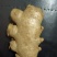 山东优质姜巴姜母大量现货，质优价廉，保质保量全国发货