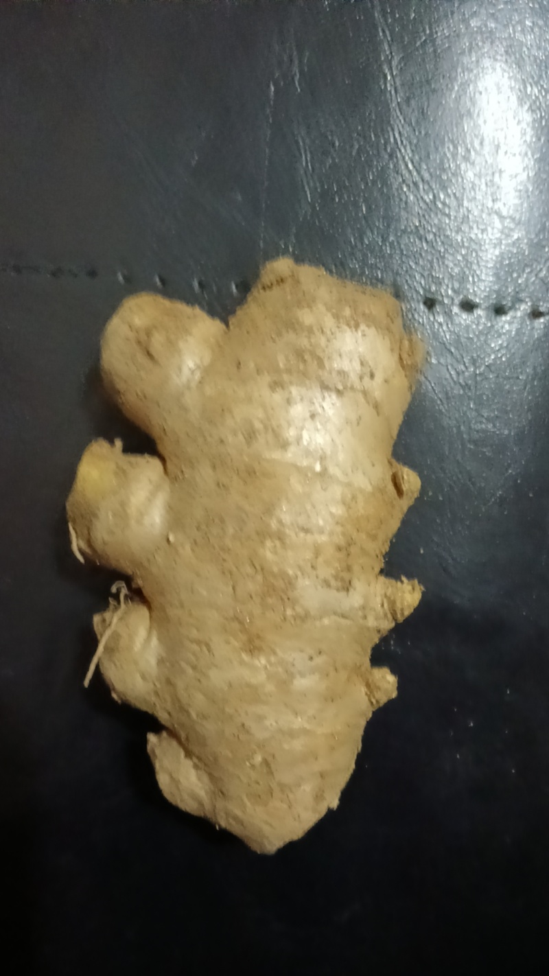 山东优质姜巴姜母大量现货，质优价廉，保质保量全国发货