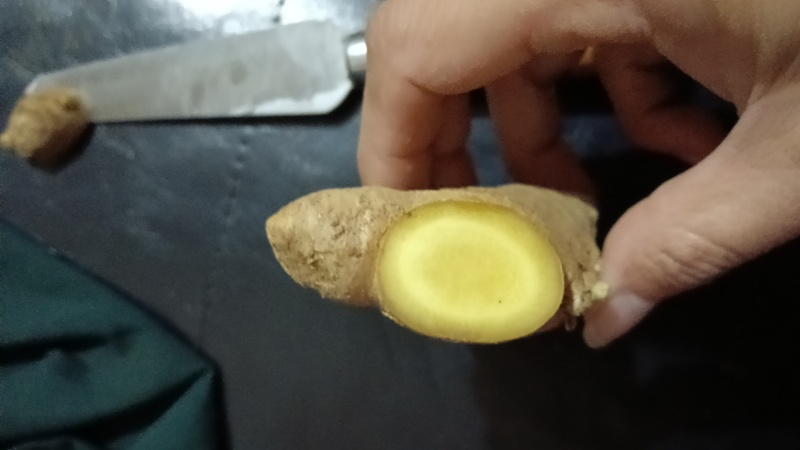 山东优质姜巴姜母大量现货，质优价廉，保质保量全国发货