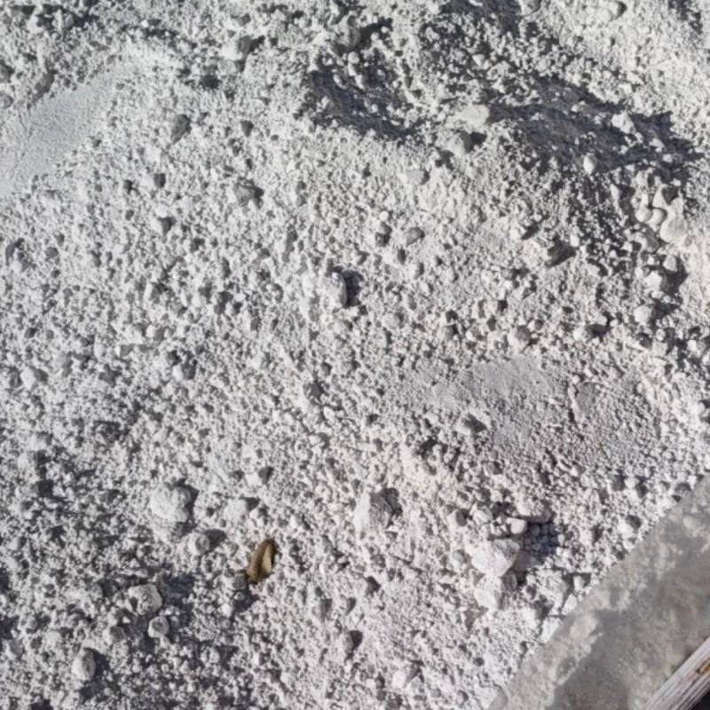 纯红薯粉欠