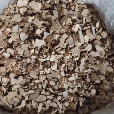 统片